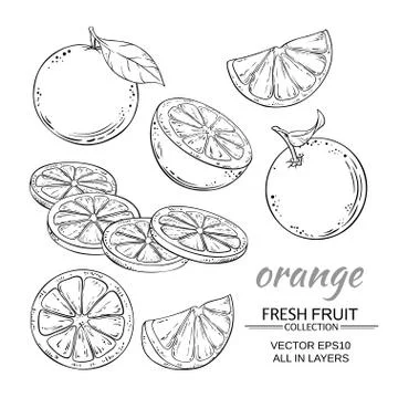 Orange vector set Stock Illustration