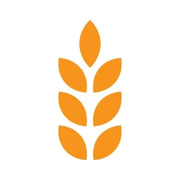 Orange vector wheat solid icon isolated on white background Illustrazione stock