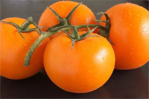 Orange vine tomatoes Stock Photos