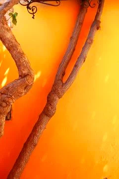 Orange wall with branches Stock-Fotos