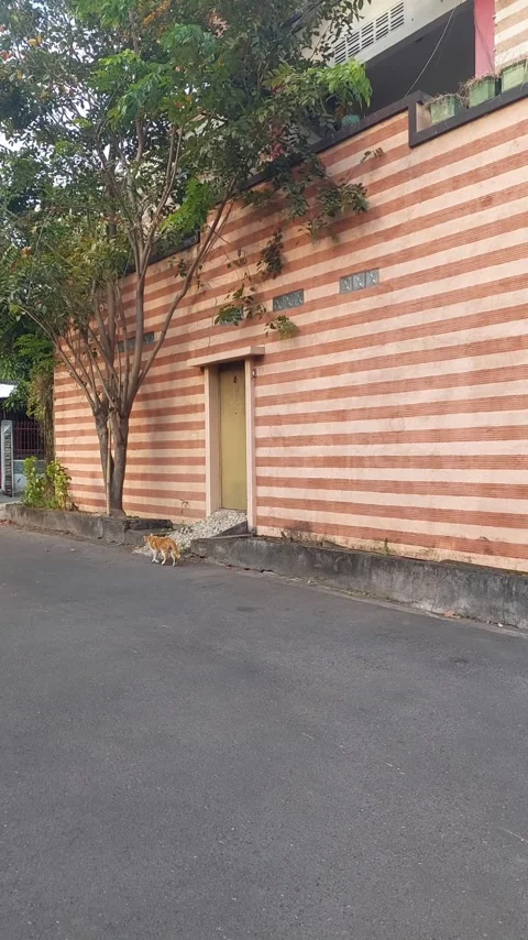 Orange Wall of House Stock Footage 281161321