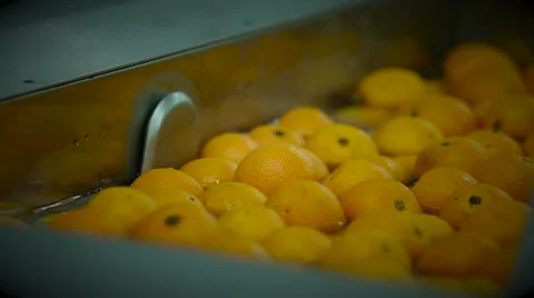 Orange Washing Machine Stock Footage 52082476