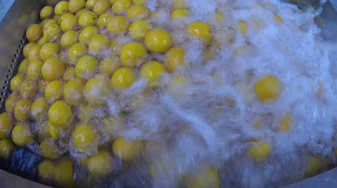 Orange Washing Machine Stock Footage 52082483