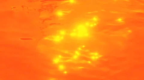 Orange Water Stock Footage 41196630