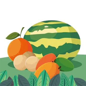 Orange watermelon mango melon fresh fruits in the field Stock Illustration