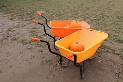 Orange Wheelbarrows. Stock Photos