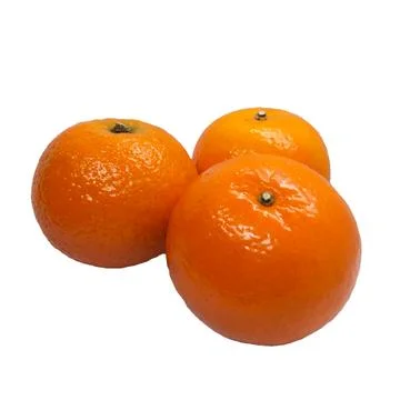 Orange  on white background 01 Stock Photos