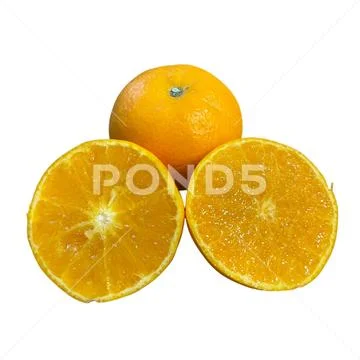 Orange on a white background-01 PSD Template