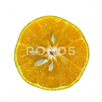 Orange on a white background-03 PSD Template