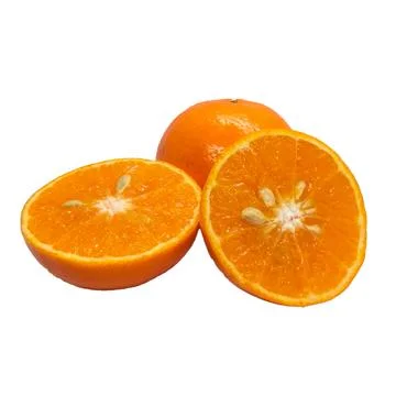 Orange  on white background 10 Stock Photos