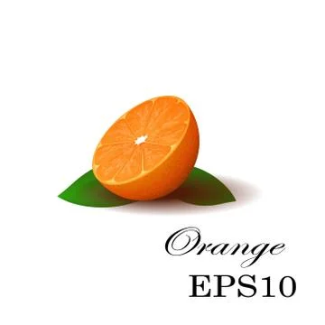 Orange on a white background. Stock Illustration