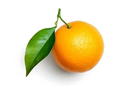 Orange on white background Stock Illustration