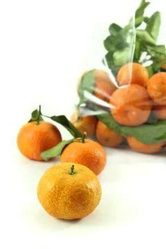 Orange on white background Stock Photos