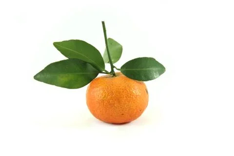 Orange on white background Stock Photos