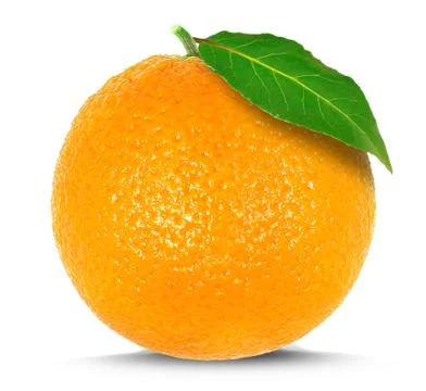 Orange on white background Stock Photos