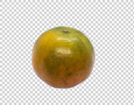 Orange on white background Stock Photos