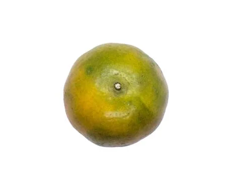 Orange  on white background Stock Photos
