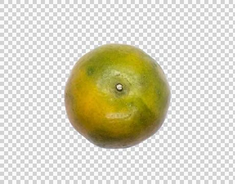 Orange  on white background Stock Photos