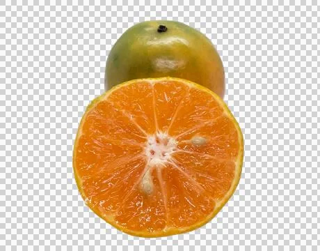 Orange  on white background Stock Photos