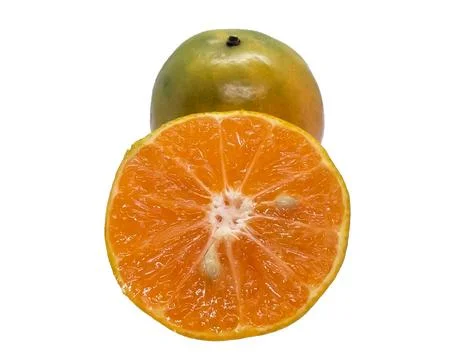 Orange  on white background Stock Photos