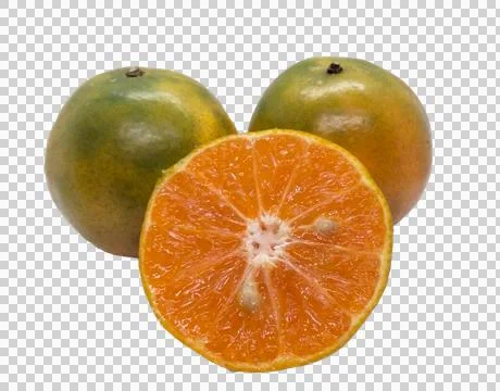 Orange  on white background Stock Photos