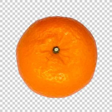 Orange on white background Stock Photos