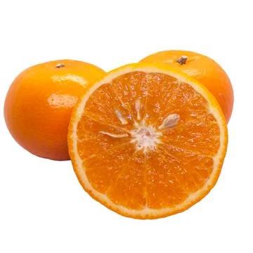 Orange on white background Stock Photos