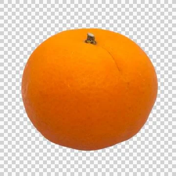 Orange on white background Stock Photos