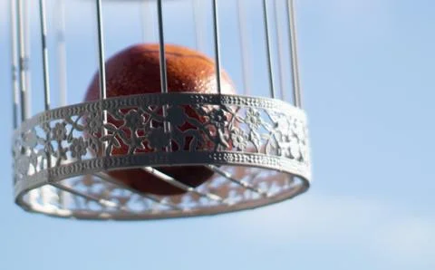 Orange in a white cage Stock Photos