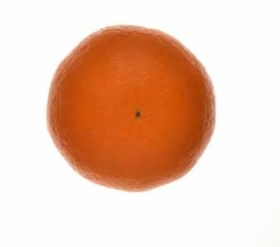 Orange on white isolated background Stock Photos