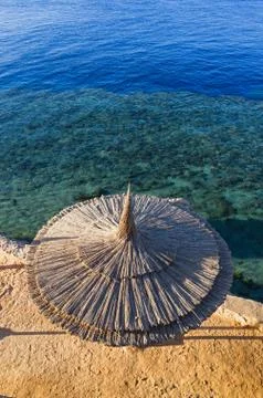 The orange on white. Stock Photos