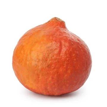 Orange whole bumpy pumpkin Stock Photos