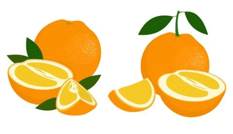 Orange whole, half and slice of orange with leaves on white background. Citrus Stock Illustration