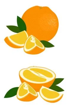 Orange whole, half and slice of orange with leaves on white background. Citrus Stock Illustration