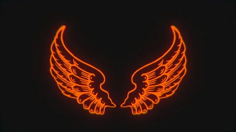 Orange Wings animation (HD) Stock Footage 45271725