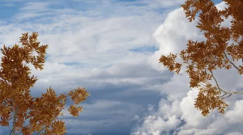 Orange yellow and red fall leaves, tree branch over blue sky with clouds back Stock Illustration