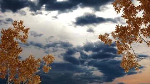 Orange yellow and red fall leaves, tree branch over sunrise sky with clouds b Stock Illustration