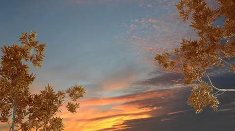 Orange yellow and red fall leaves, tree branch over sunrise sky with clouds b Stock Illustration