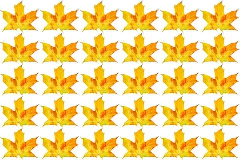 Orange yellow autumn leaves pattern for decoration Stock Illustration
