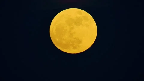 Orange yellow gradient tinted full blue supermoon moon against dark black Stock Footage 249983274