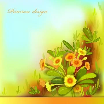 Orange yellow primroses Stock Illustration