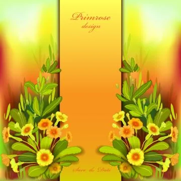 Orange yellow primroses Stock Illustration