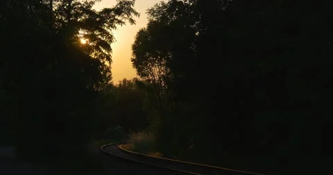 Orange, Yellow Sunset Behind The Trees' Branches Silhouettes, Railroad Stock Footage 51661490