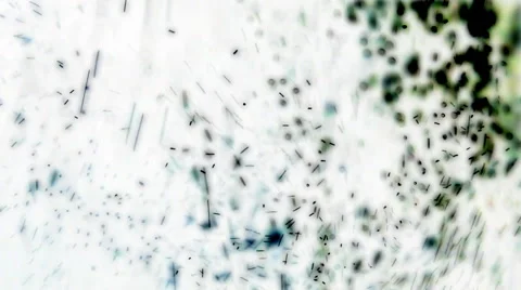 Orange Zest Stock Footage 46724315