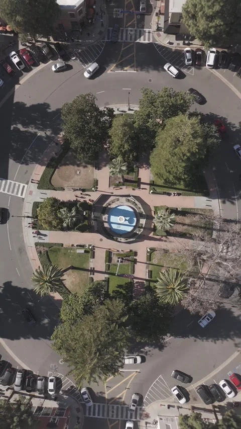 Orangecircle3 Stock Footage 263685662