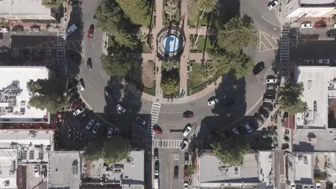 Orangecircle7 Stock Footage 263698538