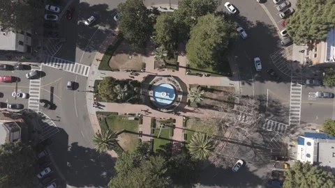 Orangecircle8 Stock Footage 263698921