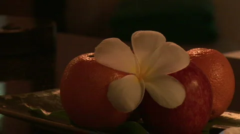 Oranges and Apple with Flower Video stock 479689