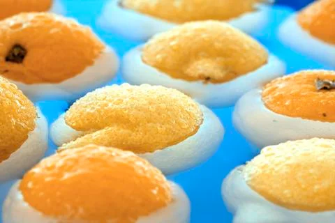 Oranges and lemons Stock Photos