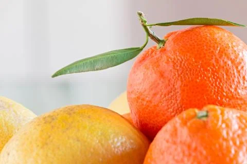 Oranges and lemons Stock Photos